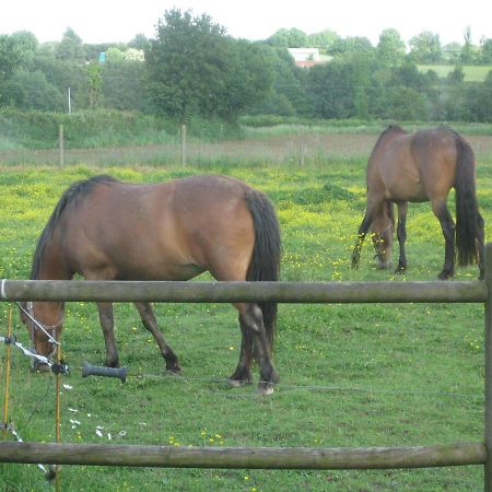 Bed and Breakfast Les Croisettes Le Pin  Zewnętrze zdjęcie