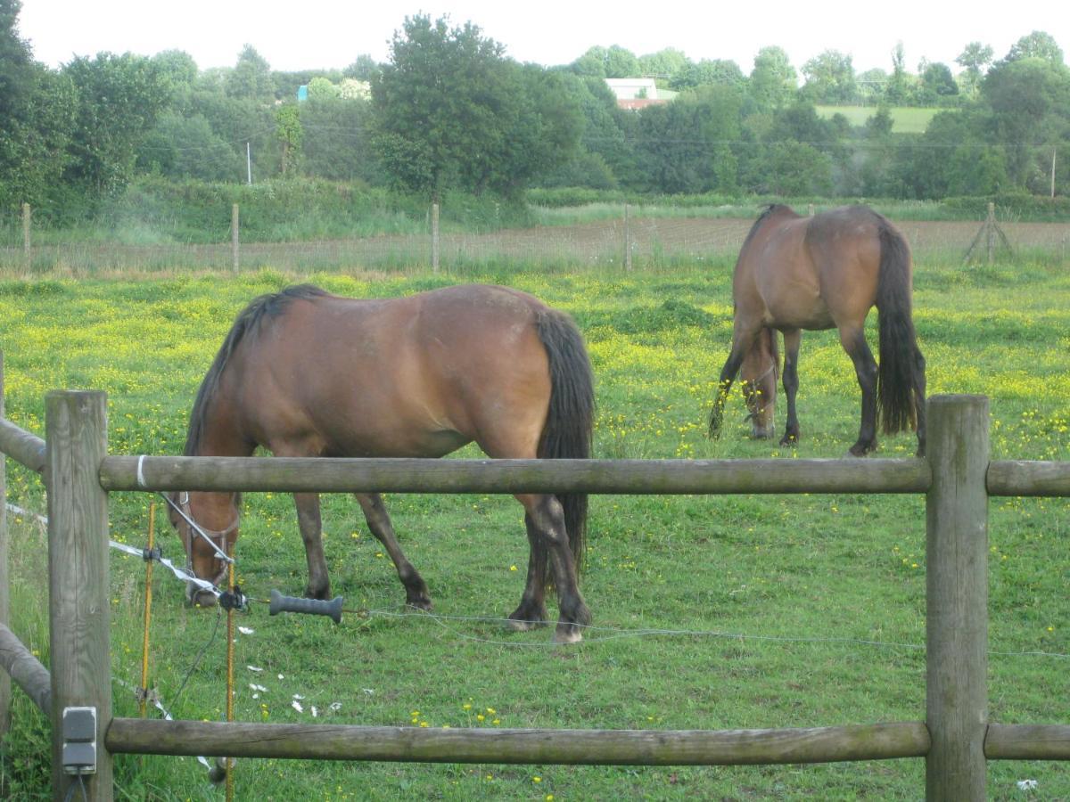 Bed and Breakfast Les Croisettes Le Pin  Zewnętrze zdjęcie